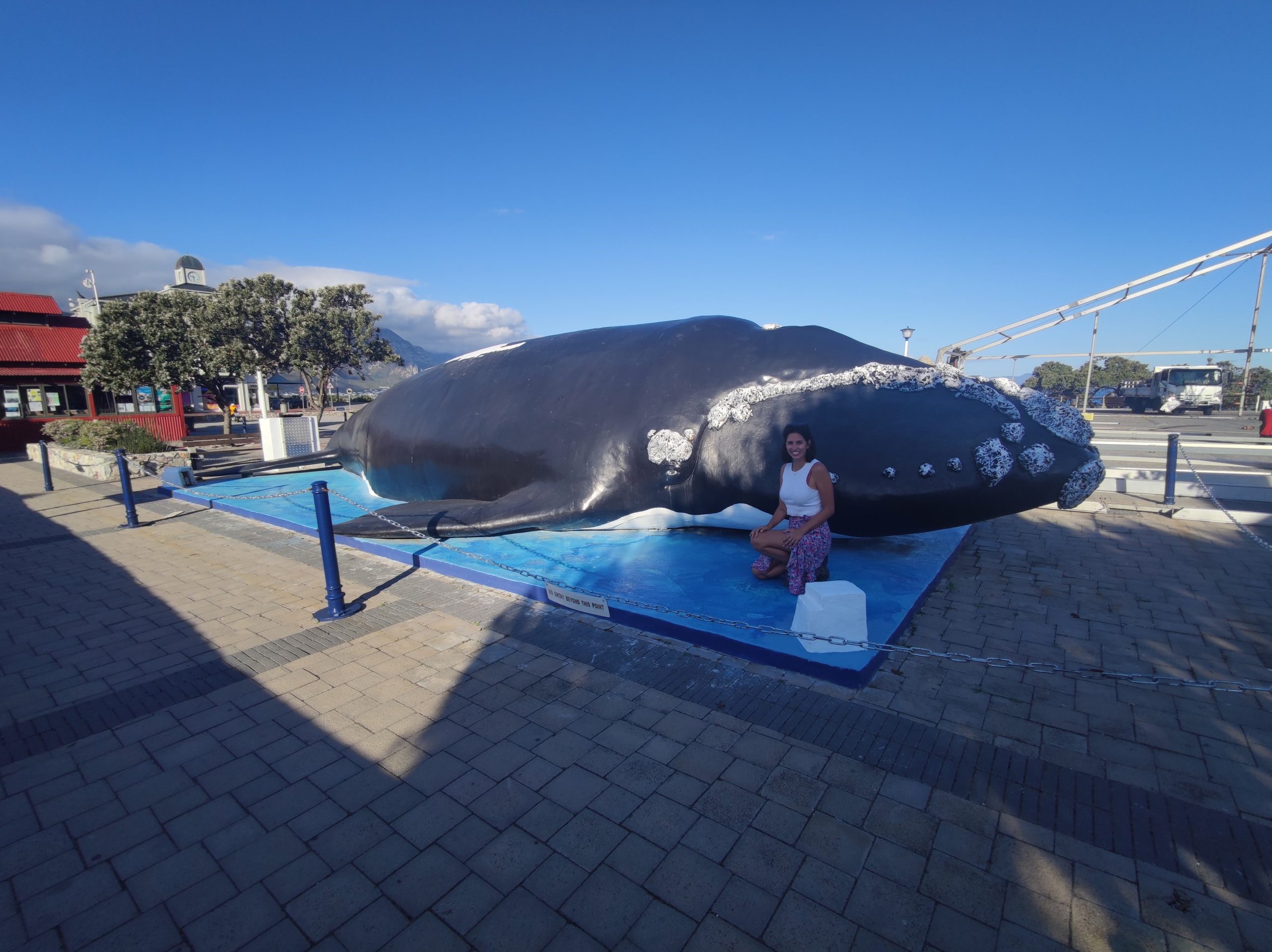 Estatua de una ballena en Hermanus