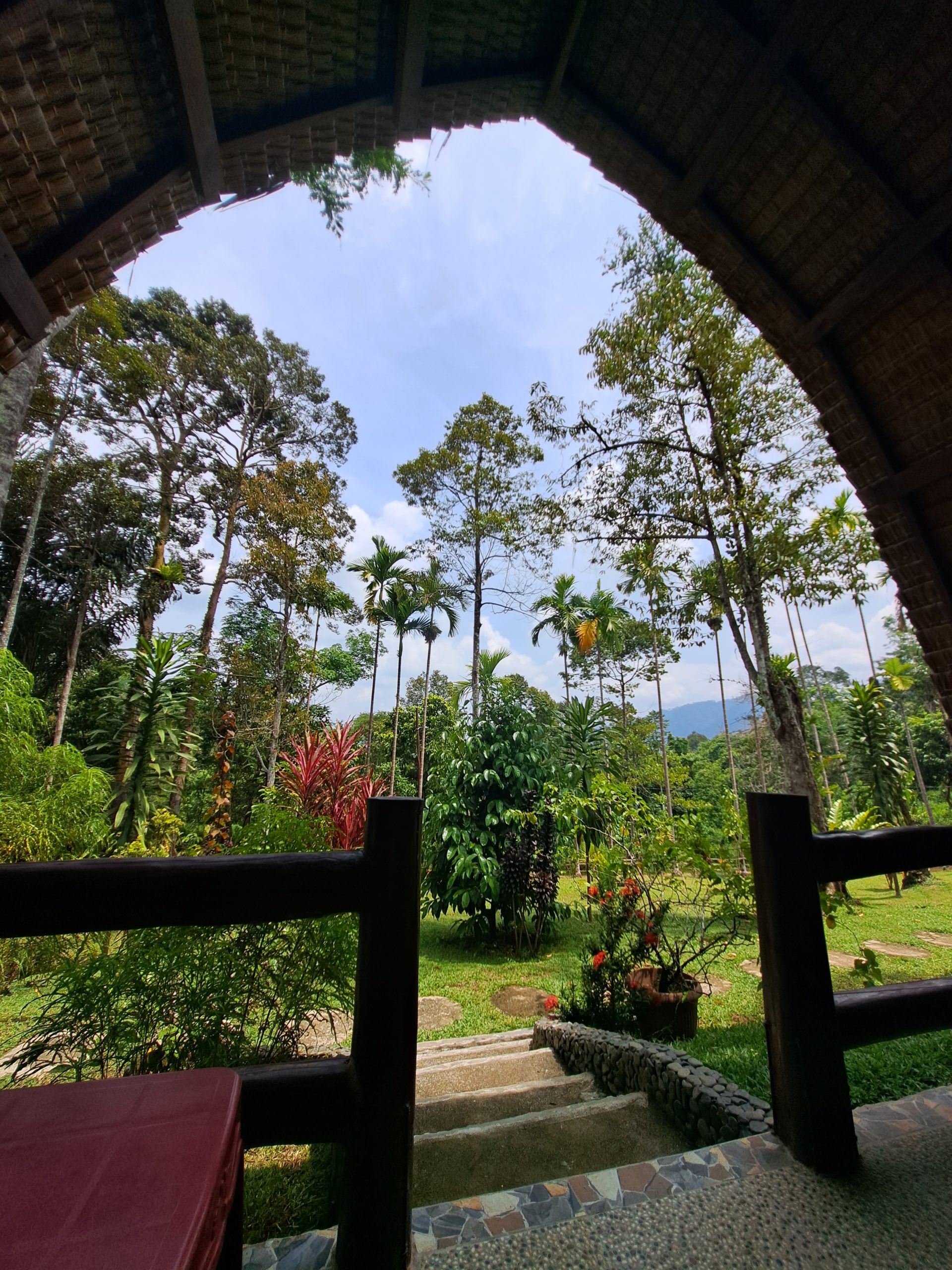 Cabaña orangutan bungalow
