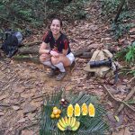 Fruta en la selva