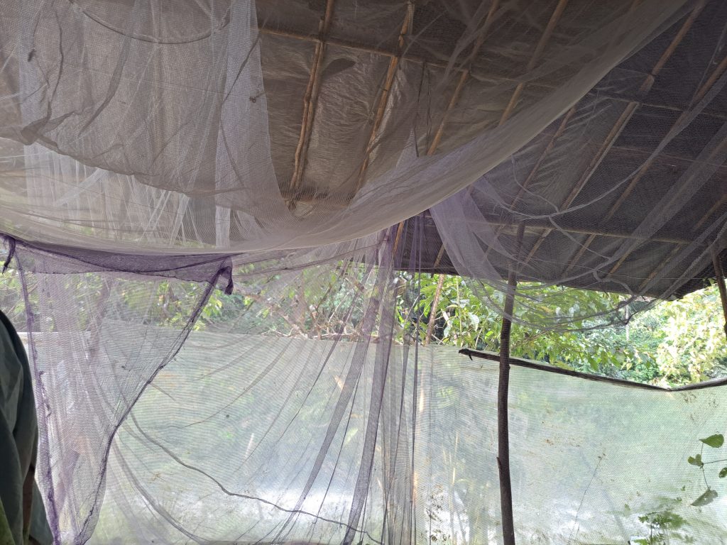 doble mosquitera