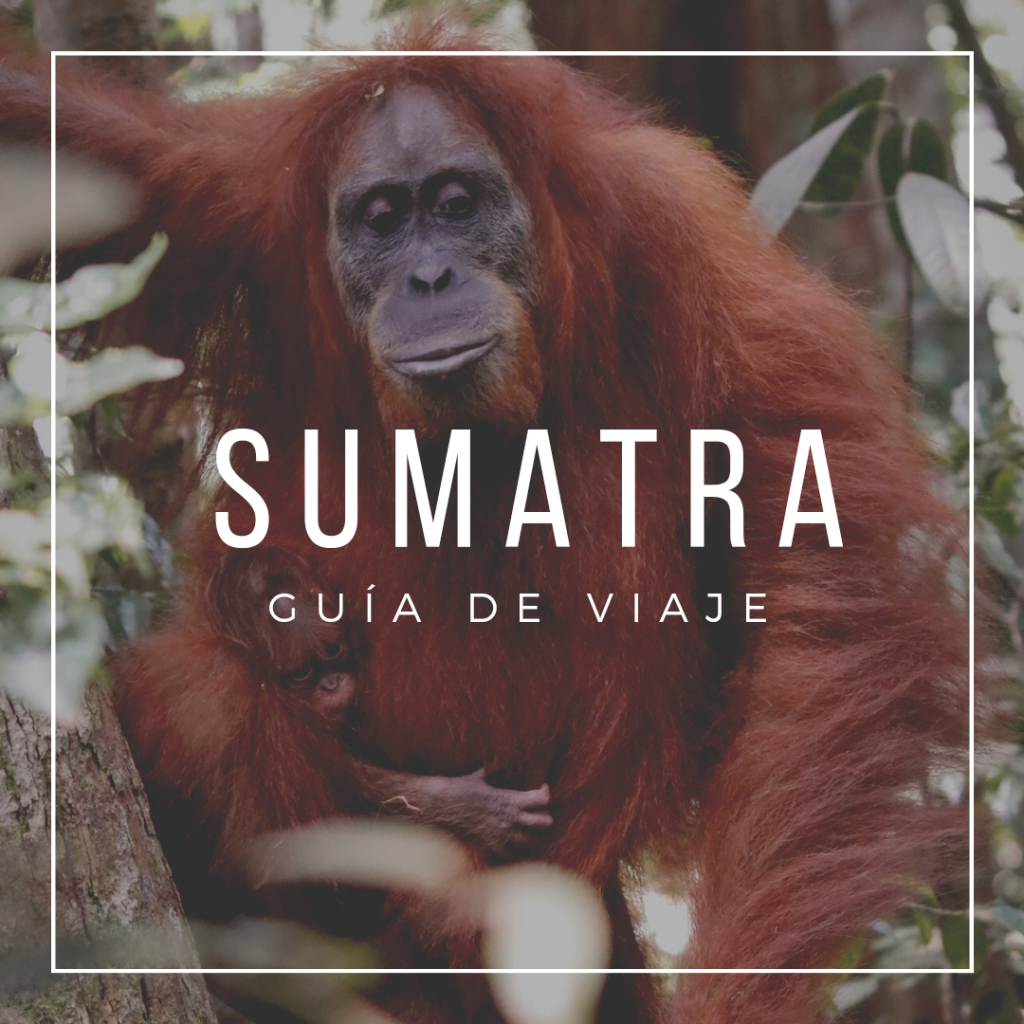 Guia de sumatra