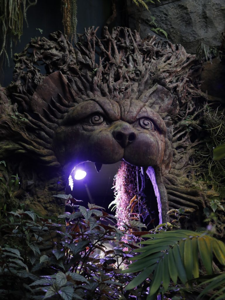 cupula avatar
