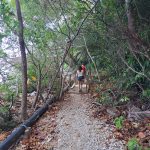 camino en palau 