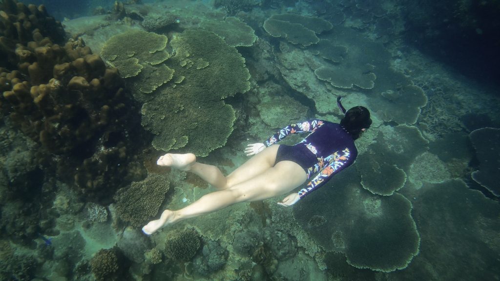 corales