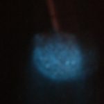 bioluminiscencia