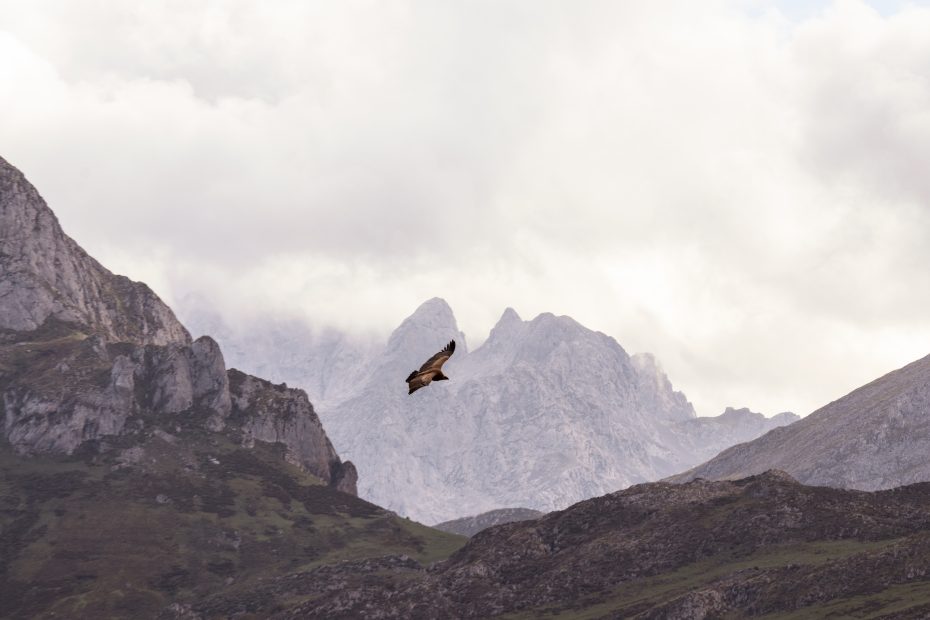 montañas