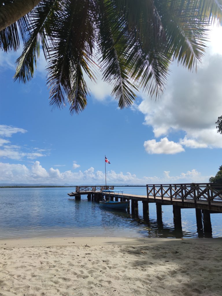 muelle en la playa con palmeras