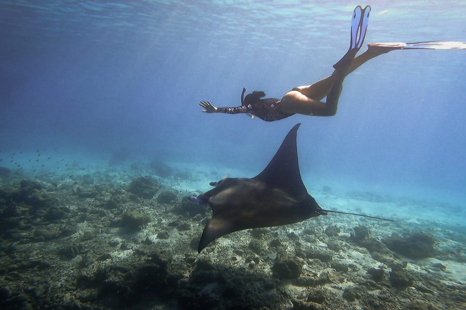 mujer nadando con una manta rey