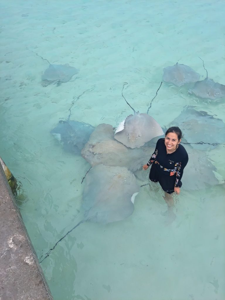 rayas en la playa fulidhoo