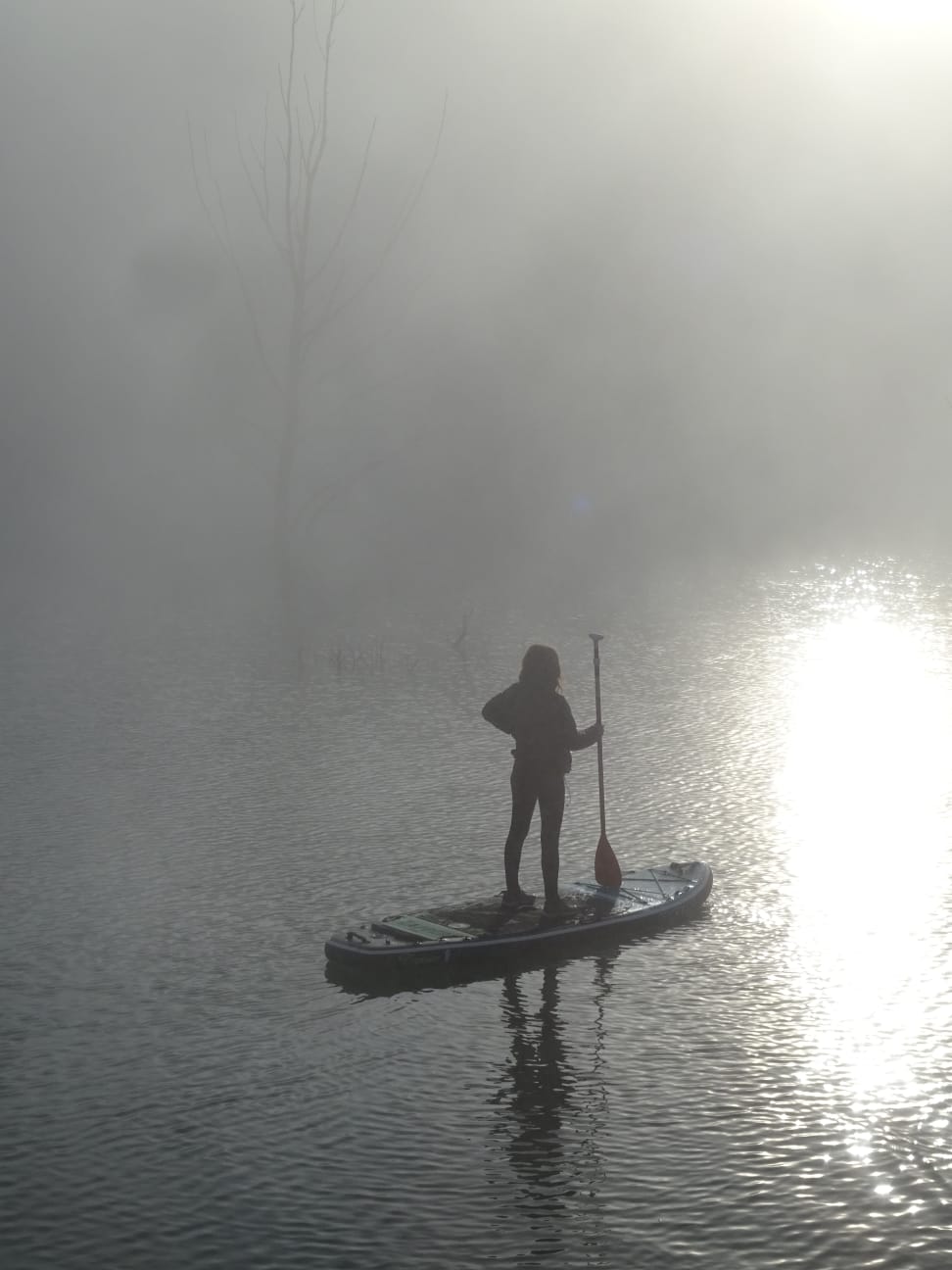 paddle surf