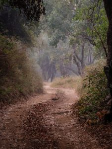 caminos de rathambore