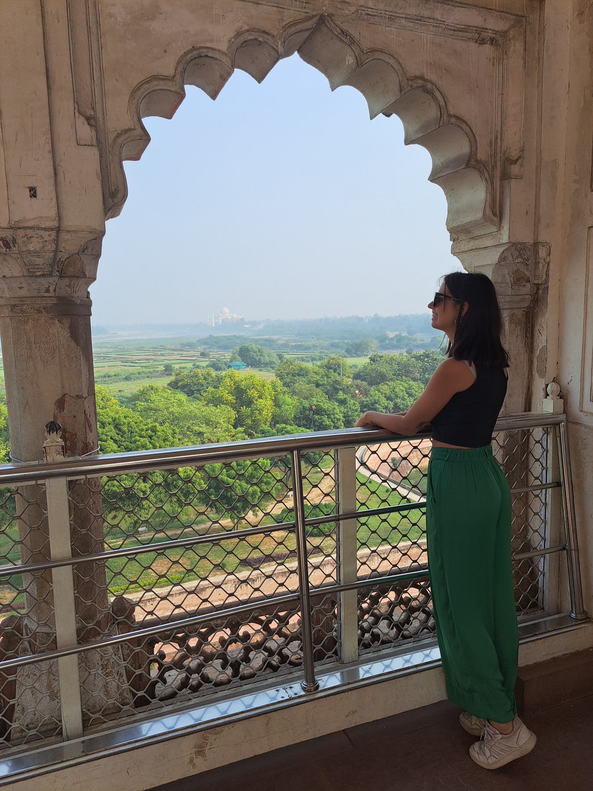 visitas del taj desde fuerte de agra