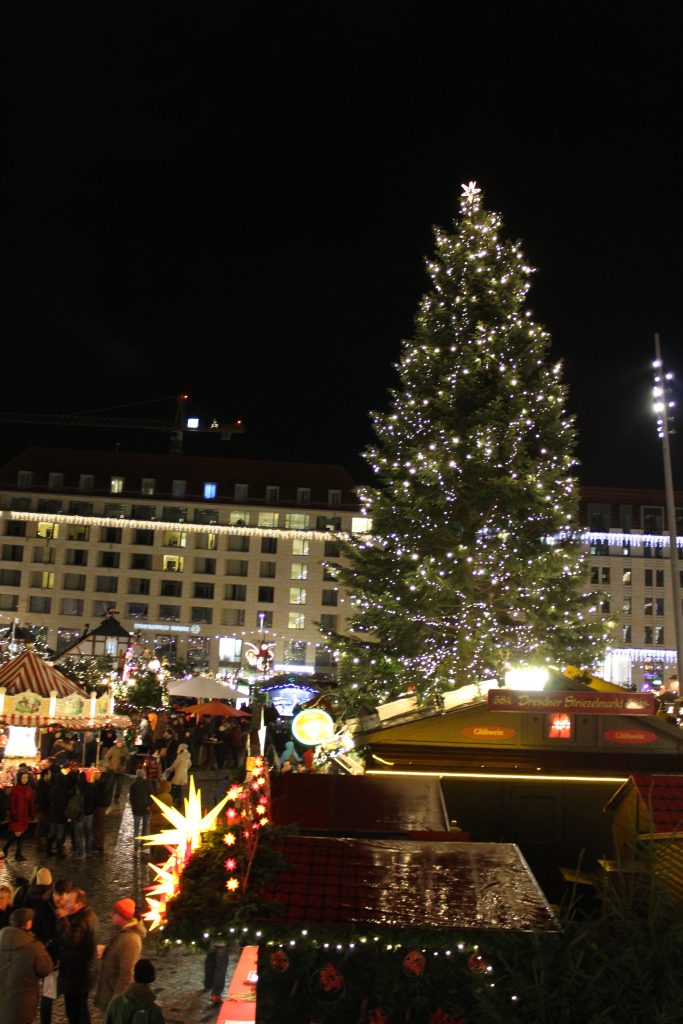 mercado dresden arbol