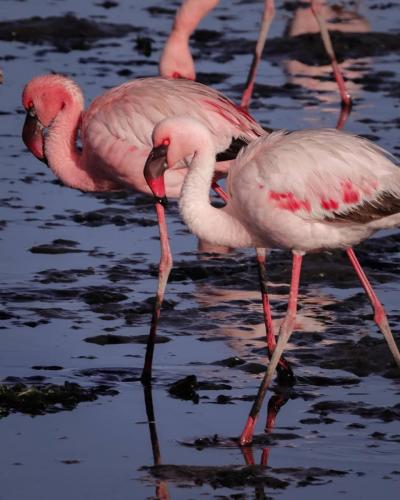 1663669080801 (1) (1)