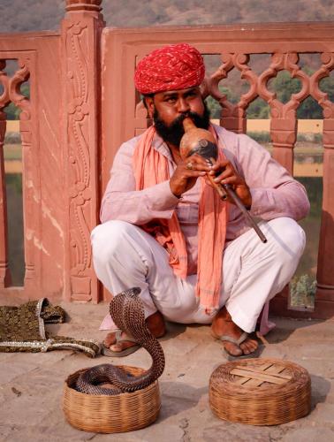 Encantador de serpientes con una cobra real
