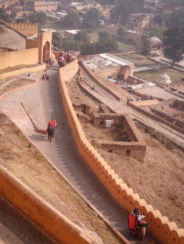 Subida de elefantes por las calles principales