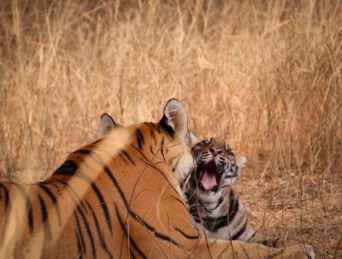 20231120055621__MG_8615