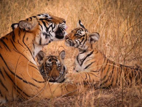 20231120055757__MG_8715