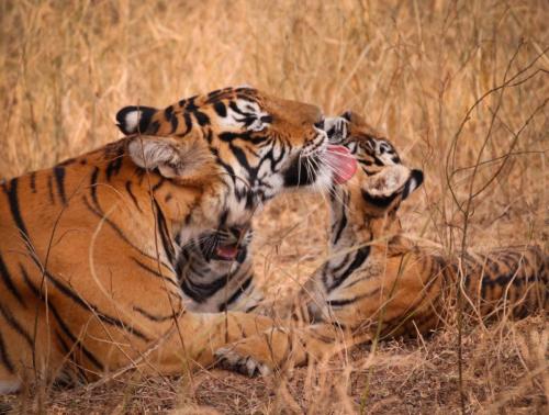 20231120055759__MG_8717