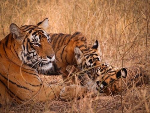 20231120055803__MG_8722