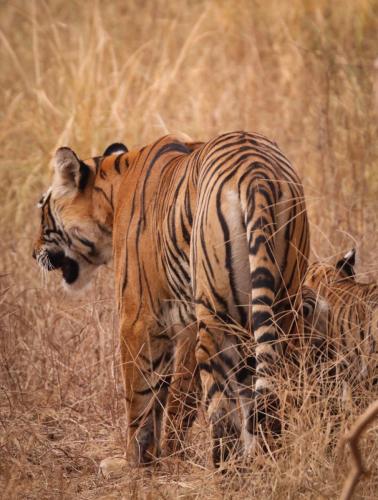 20231120060835__MG_8868