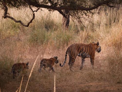 20231120061403__MG_8973