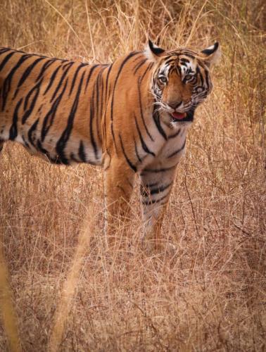 20231120061420__MG_8988